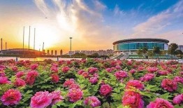 洛阳植物园爆料视频最新,探秘植物王国，邂逅自然奇观